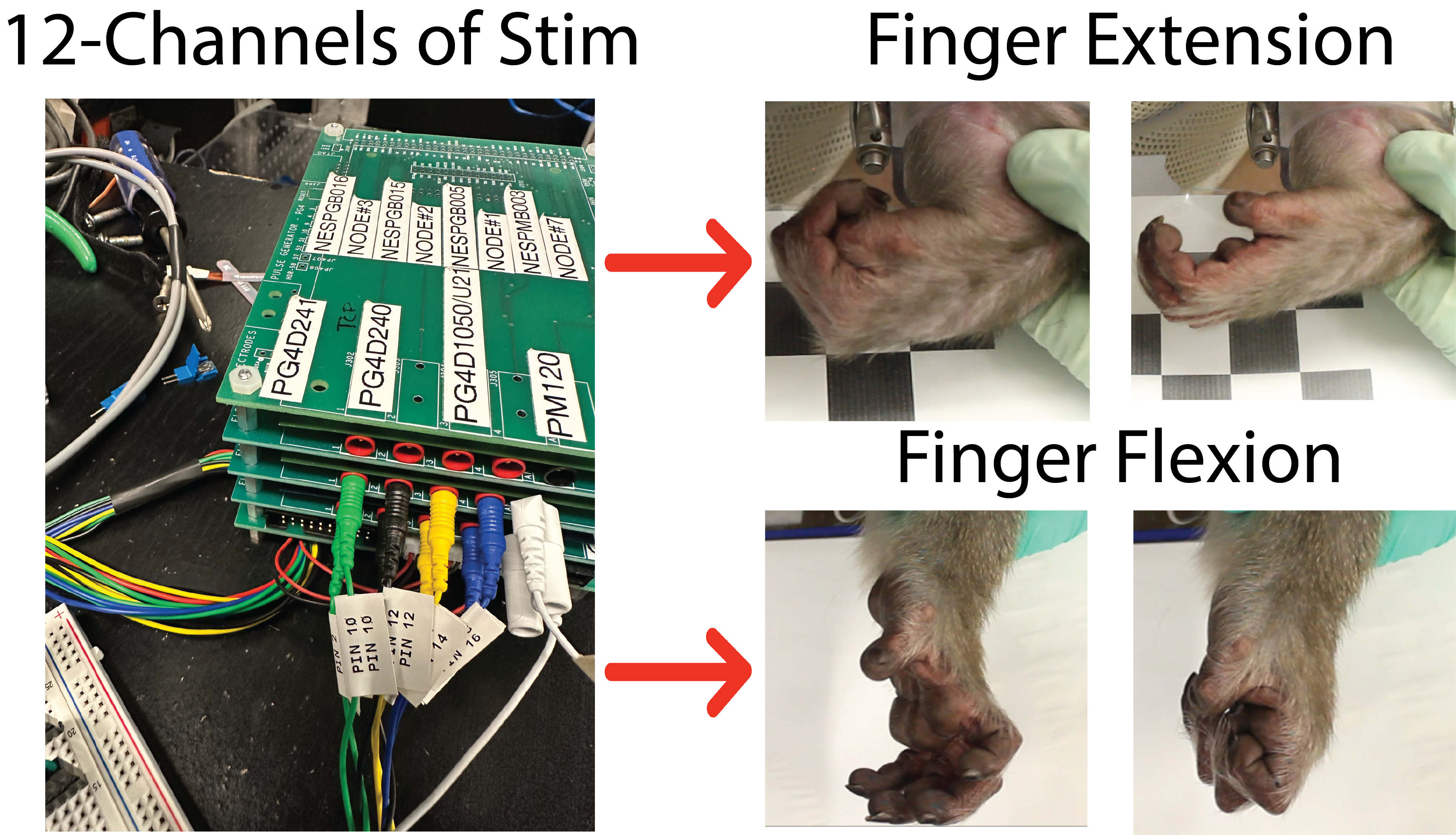 photo of a stack of COSMIIC benchtop boards and monkey hand grasp demo photos