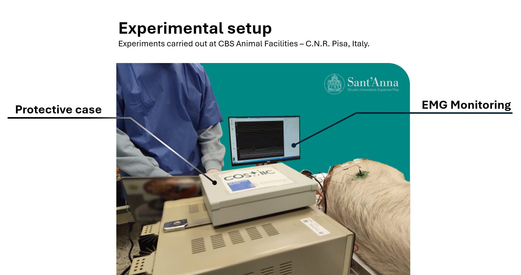 Picture of experimental setup for in vivo testing