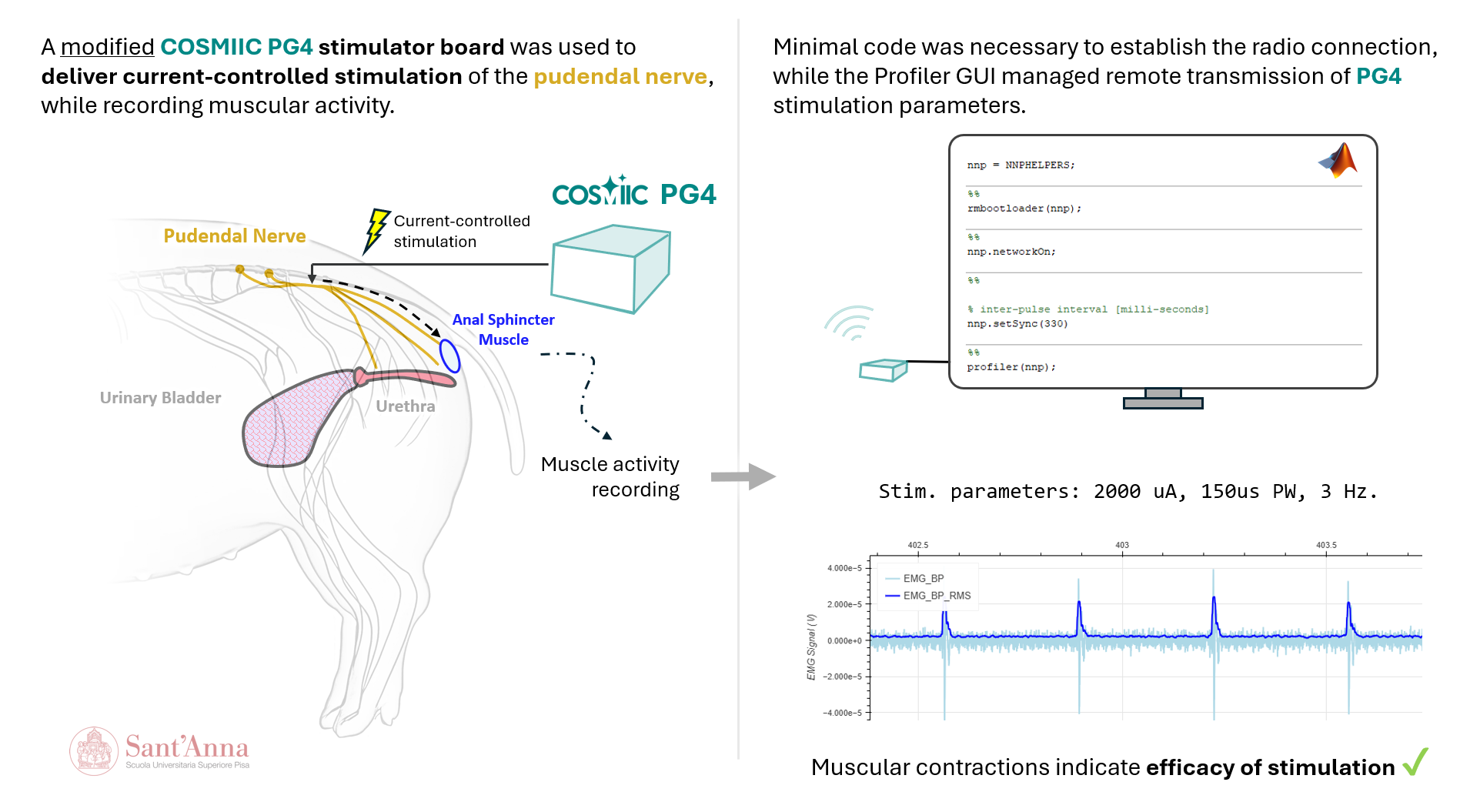 Picture of experimental and preliminary results